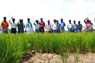 lack of water farmers protest in thiruvarur