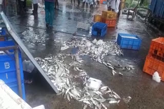 പേരാമ്പ്ര മത്സ്യചന്തയിലെ സംഘർഷം  പേരാമ്പ്ര സിപിഎം പ്രവര്‍ത്തകര്‍ക്കെതിരെ കേസ്  perambra fish market issue  perambra fish market issue case registered