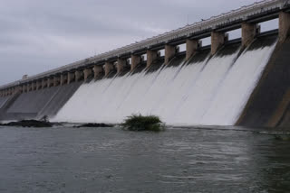 Shetrunji dam in Bhavnagar