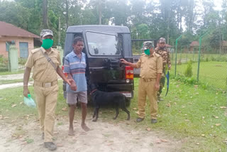 Bison hunters arrested in Jalpaiguri