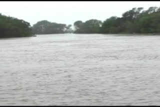 krishna river water level increase to2,06,500cusec