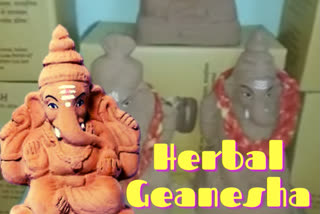 Bhopal-based sculptor makes Ganesha idols with extracts of 76 medicinal plants