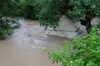 Auto driver shed in a strong current of water