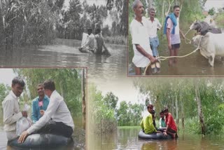 अमरोहा के कई गांव मे बाढ़.