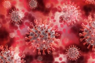 Chandigarh corona virus update