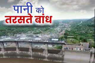 pali news, etv bharat hindi news