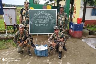 বিএছএফৰ অভিযানত ভাৰত-বাংলাদেশ সীমান্তত জব্দ অবৈধ ইলিছ মাছ