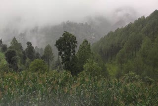 rainfall in Karsog