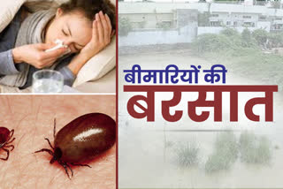 patients increase in hamirpur medical college due to rainy disease