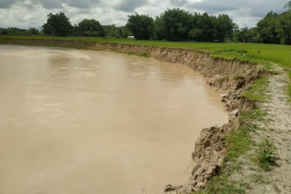 Rangapara jarasar river Erosion affacted  farmers