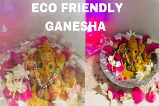 Ganesh Chaturthi ,eco friendly ganesha