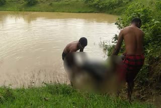 drown death in nabarangpur