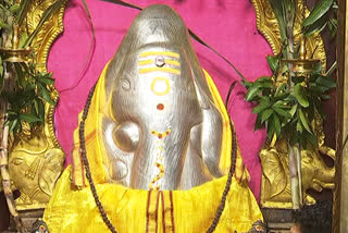 Sri Shwetarka Mahaganapati celebrations in Warangal district