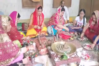 Teej  festival  celebrated in bilaspur