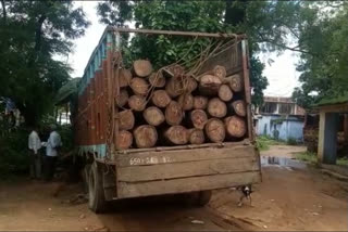 illegal wood seized in chaibasa
