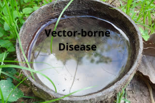 Vector Borne Disease