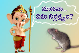 ganesh reaction on today festival