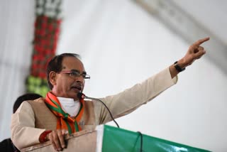 cm shivraj singh chauhan