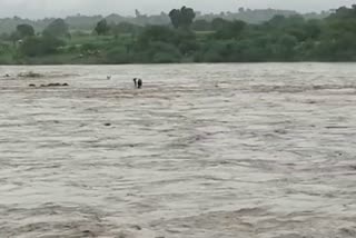 people flowing in Anas river, death in Banswara