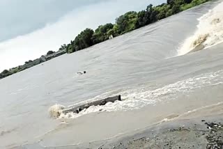 Two youngsters leap into the river