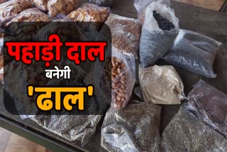 Uttarakhand dishes will increase immunity