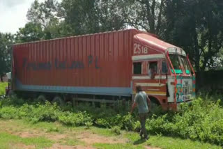 Container filled with cows