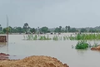Water filled in 17 villages of Bastar