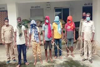 5 smugglers arrested with 9 quintal doda in Chatra, Opium smuggling in Chatra, crime news of chatra, चतरा में 9 क्विंटल डोडा के साथ 5 तस्कर गिरफ्तार, चतरा में अफीम की तस्करी, चतरा में अपराध की खबरें
