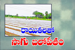 government to provide loans to farmers of peddapalli district