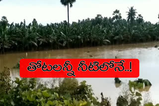 The Godavari flood that hit the Lankan villages twice