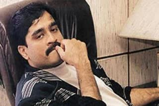 dawood ibrahim