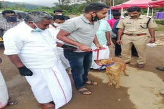 Kerala cop adopts dog that lost family in Idukki landslide