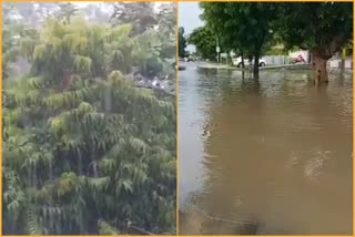 raining heavily in Sirohi, सिरोही न्यूज