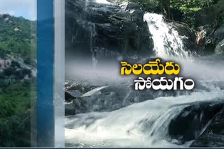 ramachandrapuram waterfall in ap