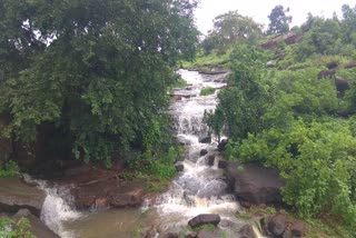 SDM bans waterfall tourism in Rajgarh