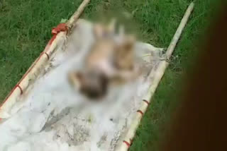 Newborn girl body found in canal in rewari