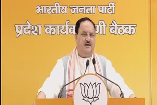 BJP, JD(U), LJP to fight Bihar polls together: Nadda