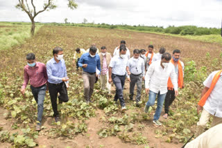 MLA Amrut Desai, DC visits crop damage areas