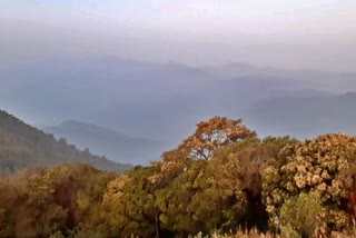 cable-car-for-kodachadri-and-eco-building-project-in-sacraibile