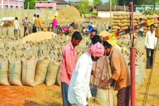 physical-verification-of-farmers-for-paddy-purchase-in-raigarh