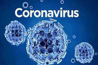 coronavirus in hamirpur