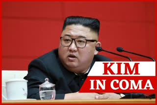 Kim Jong-un 'in coma': diplomat claims