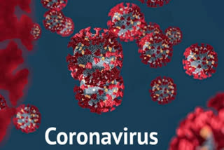 coronavirus positive in solan