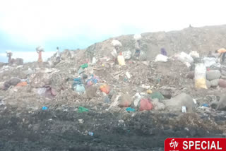 ETV bharat team reached Bhalswa landfill site in delhi