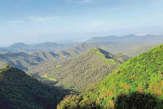 amboli-chandgad-conservation-reserve-forest-will-be-declared-soon-sindhudurg