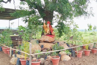 green zones in hingoli