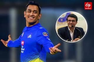 sourav ganguly commented on ms dhoni about his batting at number 6