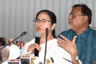 mamata