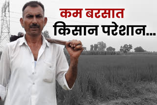 farmers facing problem of drought in monsoon at delhi NCR