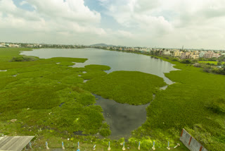 செம்பாக்கம் ஏரியில் நடைபெறும் தூய்மைப் பணிகள்